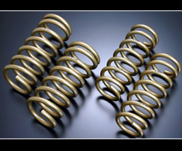 TEIN High Tech Gaurantee Spec Luxury Master Springs for Nissan Leaf S / G ZE1 (Incl Nismo)