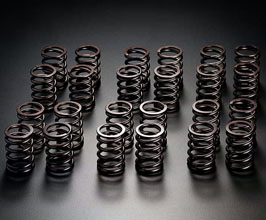 JUN Uprated Valve Springs for Nissan Silvia S13