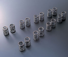 TOMEI Japan Valve Springs - Type A for Nissan Silvia S13