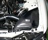 Gruppe M Ram Air Intake System (Carbon Fiber)