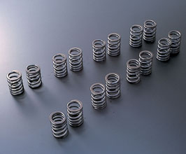 TOMEI Japan Valve Springs - Type A for Nissan Silvia S14 SR20DET