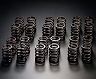 JUN Uprated Valve Springs for 11.5mm Lift