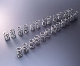 TOMEI Japan Valve Springs - Type A for Nissan Skyline R32