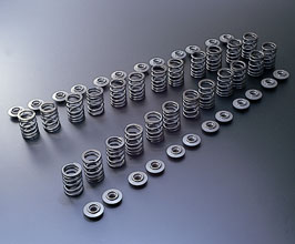 TOMEI Japan Valve Springs - Type B for Nissan Skyline GTR BNR32 RB26DETT