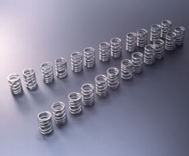 TOMEI Japan Valve Springs - Type A for Nissan Skyline GTR BCNR33 RB26DETT