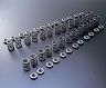 TOMEI Japan Valve Springs - Type B for Nissan Skyline GTR BNR34 RB26DETT