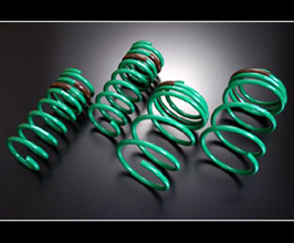 TEIN S.Tech Stylish Spec Dress Up Master Springs for Nissan Skyline ER34 25GT / (HR34 GT)