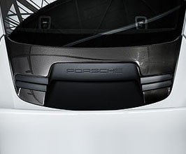 TechArt Rear Tailgate Panel Engine Cover (Carbon Fiber) for Porsche 991.1 GT3 (Incl RS)