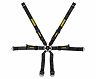 Schroth Street Legal PROFI 6-Point Harness - 2in for Porsche 991 GT3 Roadcar