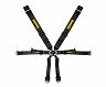 Schroth Street Legal PROFI 6-Point Harness - 3in