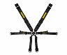 Schroth Street Legal PROFI 6-Point Harness - 3in for Porsche 991 GT3 Roadcar