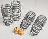 TechArt Sport Lowering Springs for Porsche 991.1 Carrera (Incl  S)