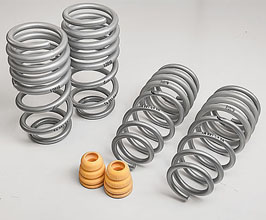 TechArt Sport Lowering Springs for Porsche 991.1 Carrera (Incl  S)