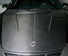 CarbonDry Performance Hood Bonnet (Dry Carbon Fiber)