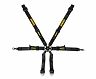 Schroth Street Legal PROFI 6-Point Harness - 2in