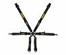 Schroth Street Legal PROFI 6-Point Harness - 2in