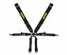 Schroth Street Legal PROFI 6-Point Harness - 3in for Porsche 997 GT3 Road Car