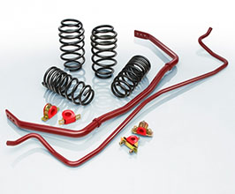 Eibach Pro-Plus Kit with Lowering Springs and Sway Bars for Porsche 996.2 Carrera RWD