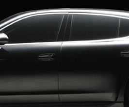 WALD Sports Line Black Bison Edition Rear Pillar Panels (Carbon Fiber) for Porsche Panamera 970
