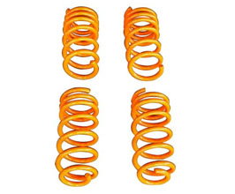 HAMANN Lowering Springs for Porsche Panamera 970