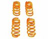 HAMANN Lowering Springs