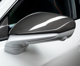 TechArt Side Mirror Covers (Carbon Fiber) for Porsche Taycan 9J1