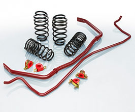 Eibach Pro-Plus Kit - Performance Springs and Sway Bars for Subaru WRX STI