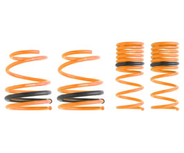 Prova Sports Springs for Subaru WRX VA