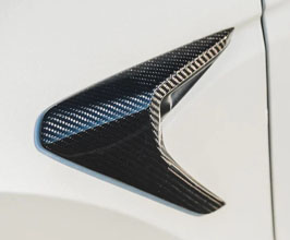 ADRO Front Fender Garnish (Carbon Fiber) for Tesla Model 3