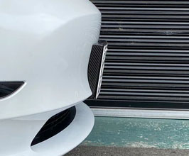 Carbon Addict Front License Plate Base with Down Tilt (Dry Carbon Fiber) for Tesla Model 3