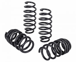 Eibach Pro-Kit Performance Springs for Tesla Model 3