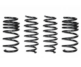 Eibach Pro-Kit Performance Springs for Tesla Model 3 Performance AWD