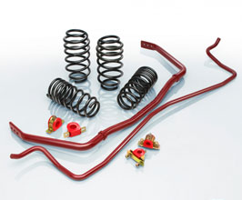 Eibach Pro-PLUS Kit - Springs and Sway Bars for Tesla Model 3 Long Range AWD