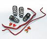Eibach Pro-PLUS Kit - Springs and Sway Bars for Tesla Model 3 Performance AWD