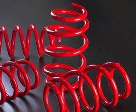 KOKORO Lowering Springs - L Type for Tesla Model 3