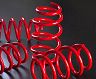 KOKORO Lowering Springs - L Type for Tesla Model 3