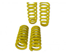 Springs for Tesla Model 3