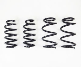 RS-R Ti2000 Down Sus Lowering Springs for Tesla Model 3