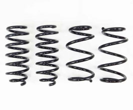 RS-R Ti2000 Down Sus Lowering Springs for Tesla Model 3