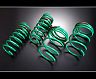 TEIN S.Tech Stylish Spec Dress Up Master Springs for Tesla Model 3 RWD