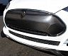 APR Performance Front Grill (Carbon Fiber) for Tesla Model S