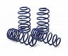 H&R Sport Springs for Tesla Model S