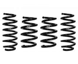 Eibach Pro-Kit Performance Springs for Tesla Model Y AWD