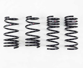 RS-R Down Sus Lowering Springs for Toyota 86 / BRZ