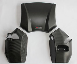 APEXi Engine Cover (Dry Carbon Fiber) for Toyota GR86 / BRZ