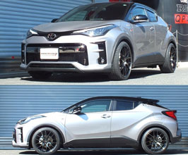 RS-R Ti2000 Down Sus Lowering Springs for Toyota C-HR AX