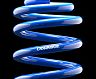 ESPELIR Super Downsus Lowering Springs for Toyota Camry XSE AWD