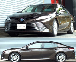 RS-R Down Sus Lowering Springs for Toyota Camry XLE FWD