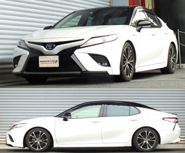 RS-R Ti2000 Down Sus Lowering Springs for Toyota Camry XSE FWD