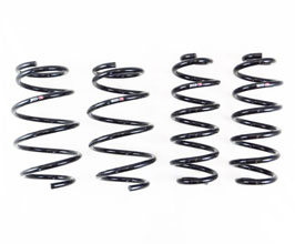RS-R Down Sus Lowering Springs - US Spec for Toyota Crown Estate S238